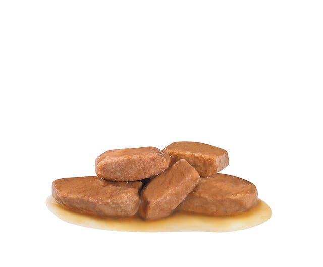 Royal Canin Early Renal - Straccetti in Salsa per Cane 12x100gr Royal Canin Early Renal - Straccetti in Salsa per Cane 12x100gr